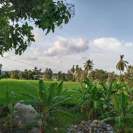 Gopi Plantation Homestay Хампі Екстер'єр фото