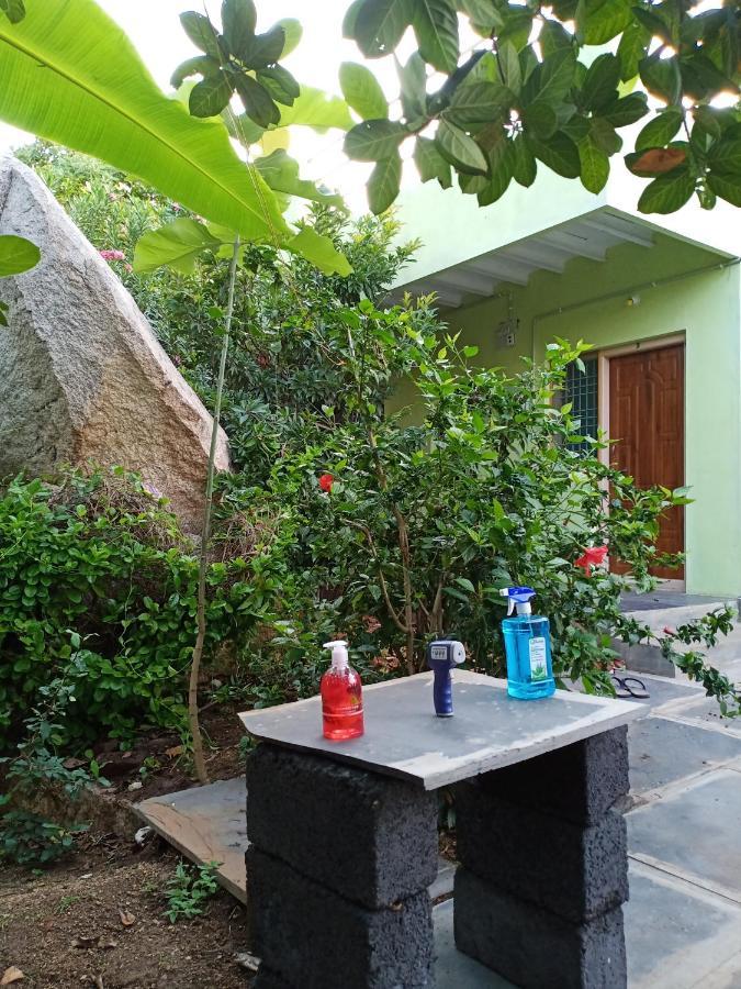 Gopi Plantation Homestay Хампі Екстер'єр фото