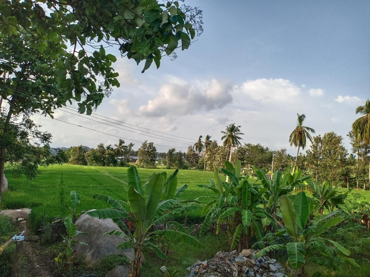 Gopi Plantation Homestay Хампі Екстер'єр фото