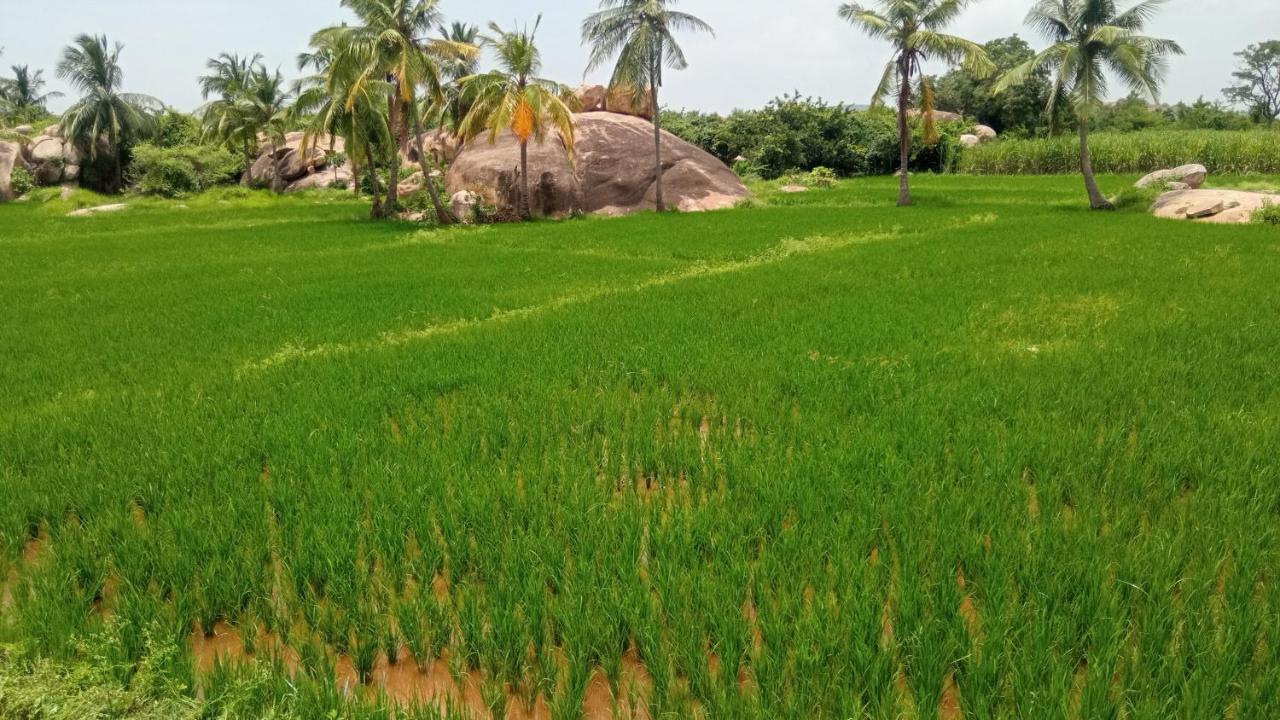 Gopi Plantation Homestay Хампі Екстер'єр фото
