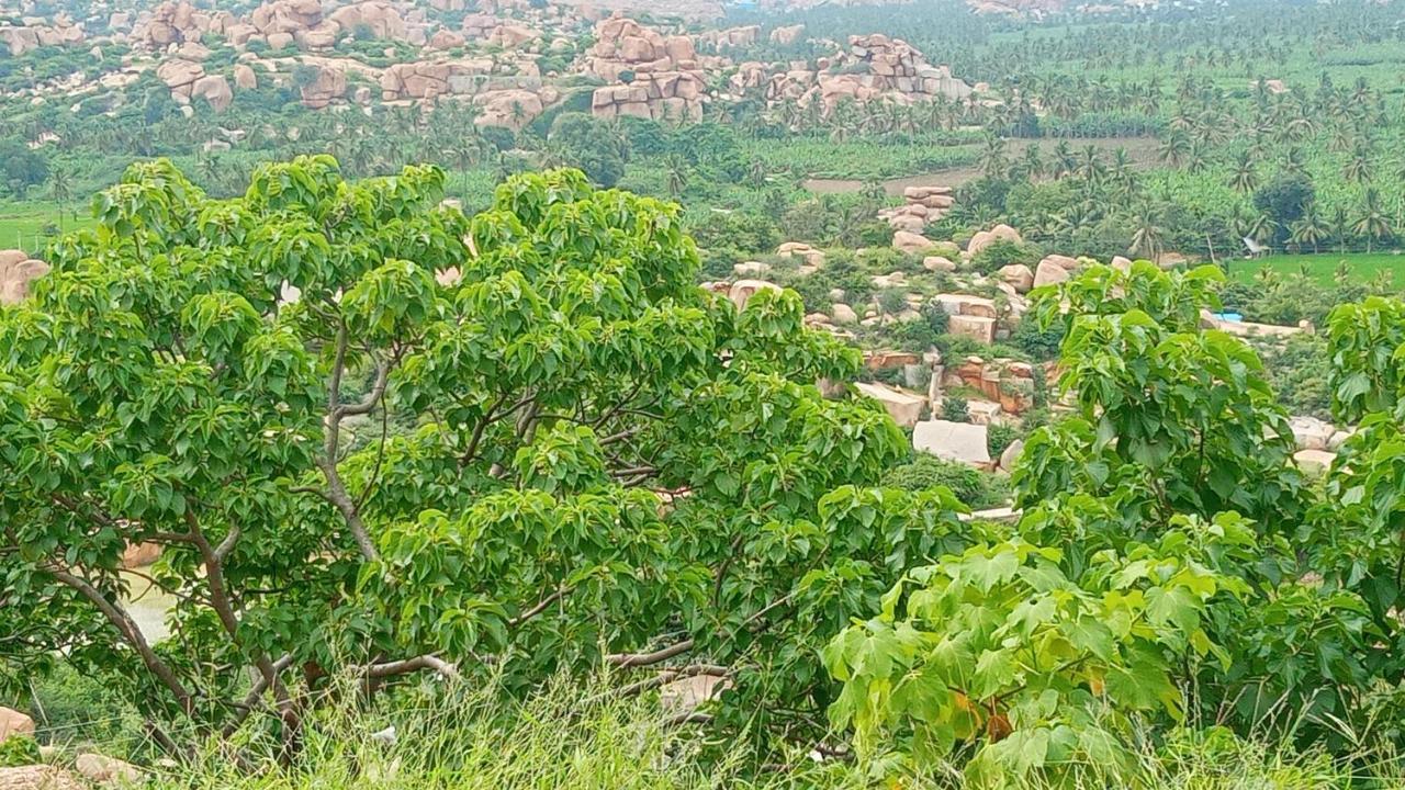 Gopi Plantation Homestay Хампі Екстер'єр фото