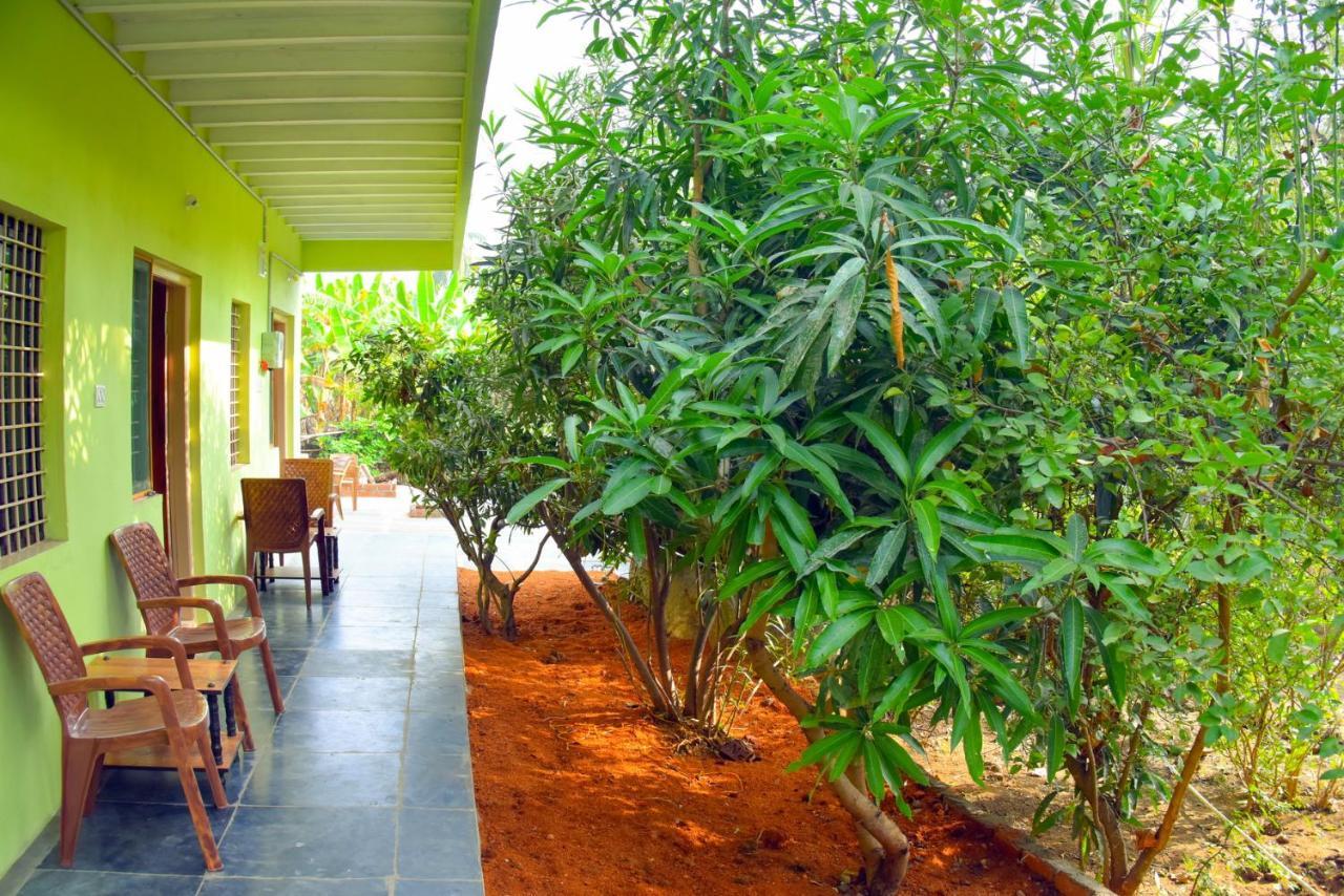 Gopi Plantation Homestay Хампі Екстер'єр фото